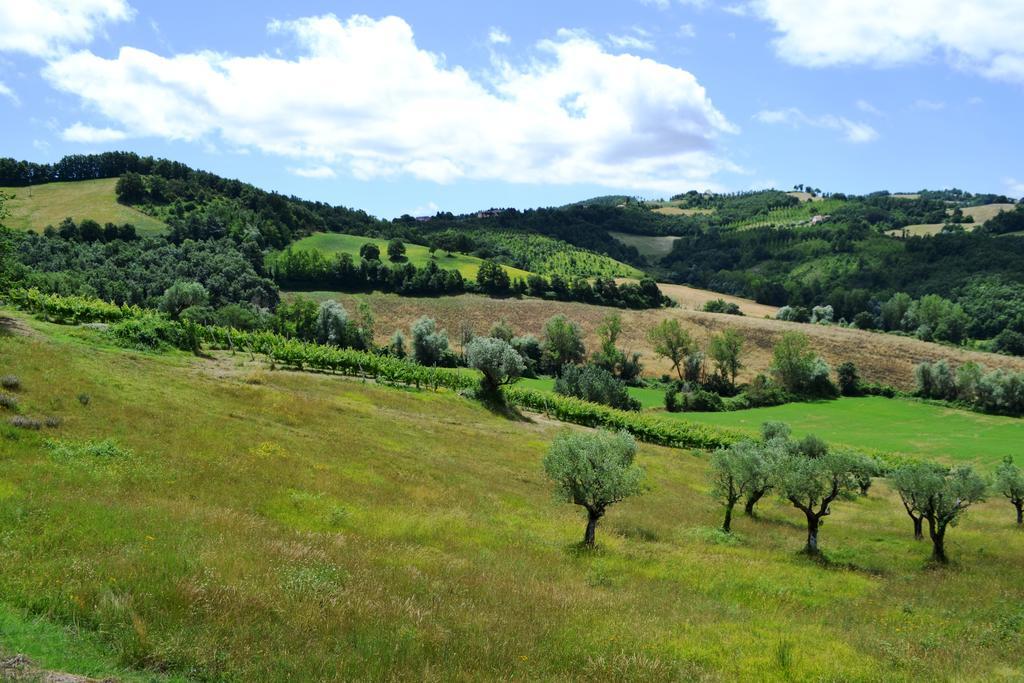 Agriturismo Marano Mengara Kültér fotó